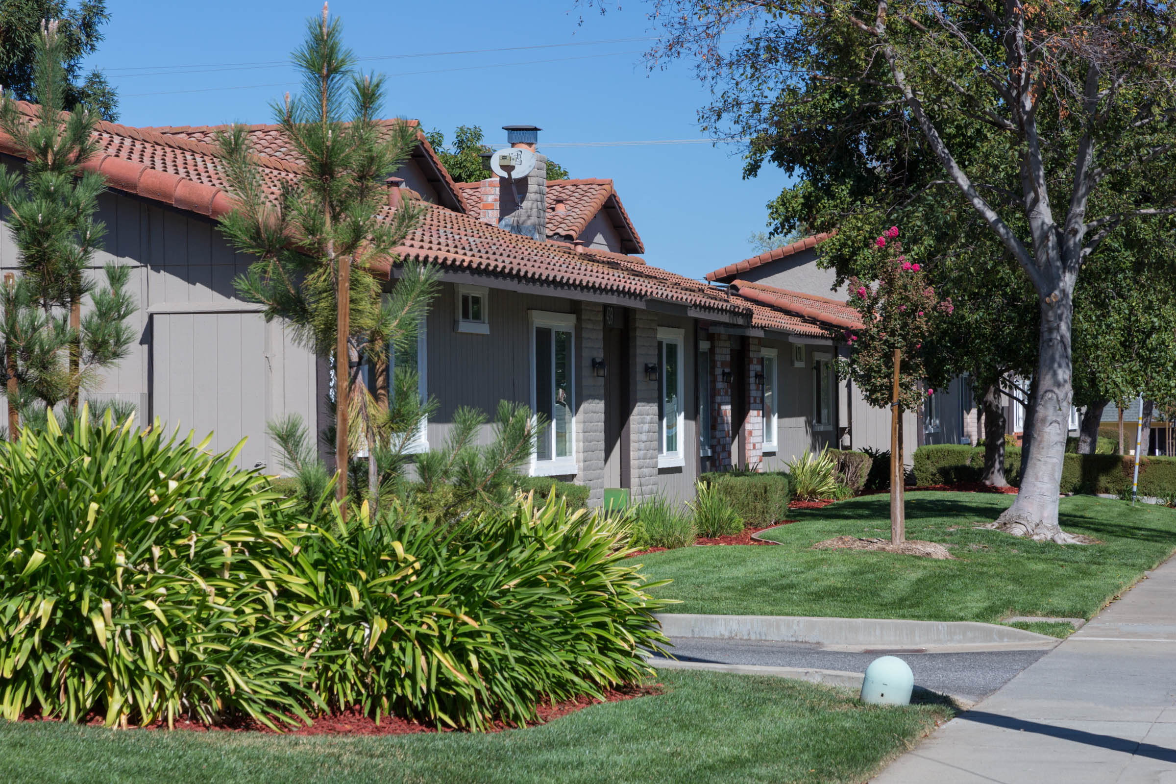 Village Patio Homes & Apartments photo 5